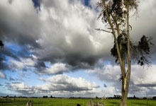 天涯论坛乔任梁事件：一场网络暴力的血色哀歌